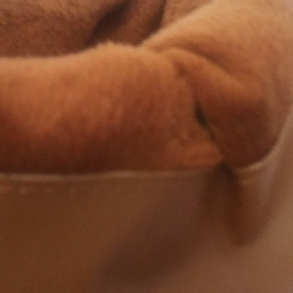 Boots - Picture 4 of 5